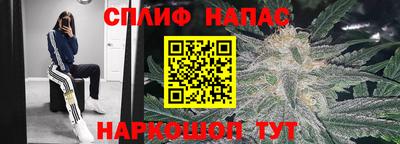 jwh Малгобек