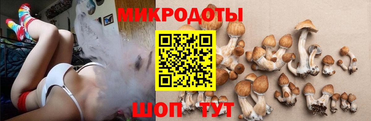 Галлюциногенные грибы прущие грибы  Вход с VPN  Майский 